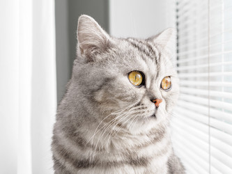 Similar image 21935243