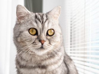 Similar image 21935247