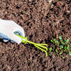 Similar image 21935254