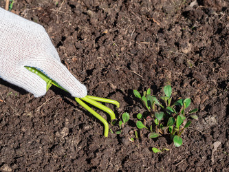 Similar image 21935420