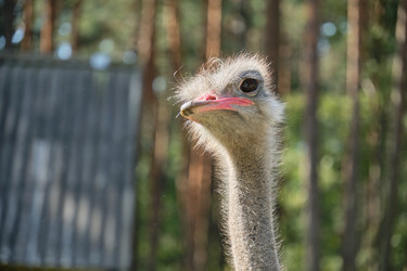 Similar image 21933207