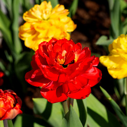 Similar image 21935048