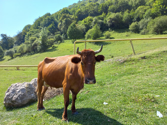 Similar image 21933213