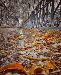 Similar image 21939388