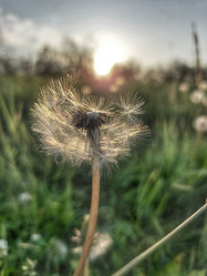 Similar image 21939389