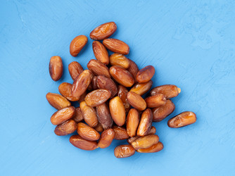 Similar image 21935471