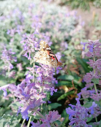 Similar image 21933214