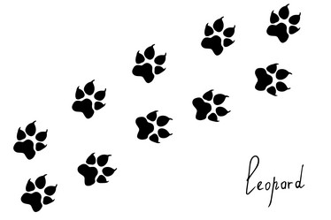 Similar image 21938513