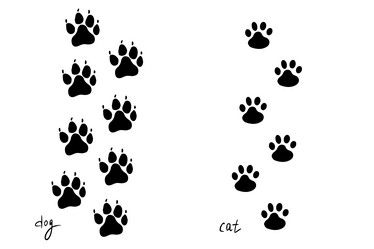 Similar image 21938514