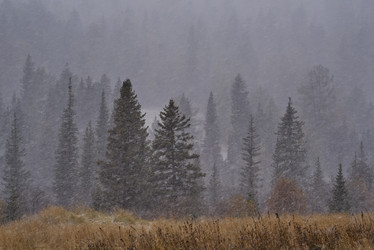 Similar image 21937451