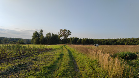 Similar image 21933225