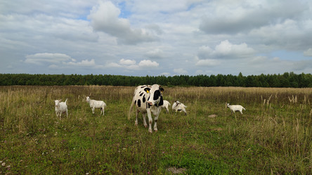 Similar image 21933226