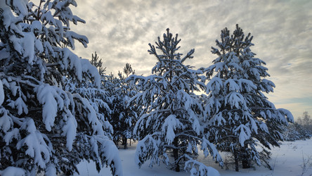 Similar image 21933227