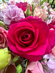 Similar image 21937719