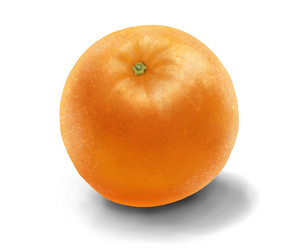 Similar image 21933229