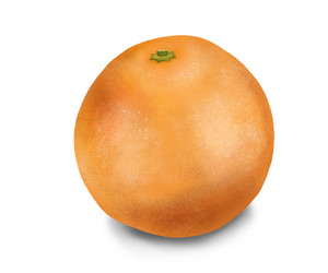 Similar image 21933231