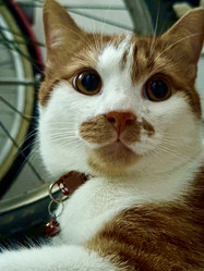 Similar image 21933894