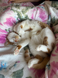 Similar image 21933900