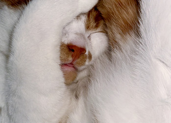 Similar image 21933901