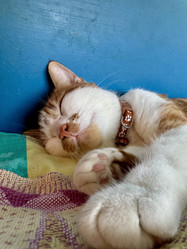 Similar image 21933902