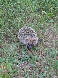 Similar image 21933903