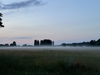 Similar image 21933911