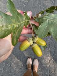 Similar image 21933912