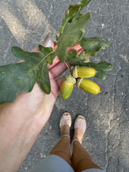 Similar image 21933913