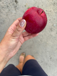 Similar image 21933928