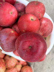 Similar image 21933929