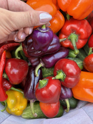 Similar image 21933931