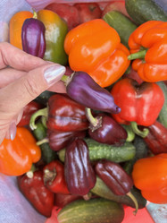 Similar image 21933932