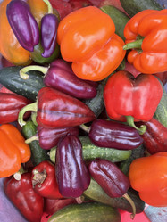 Similar image 21933933