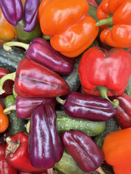 Similar image 21933934