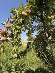 Similar image 21933935