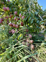 Similar image 21933936