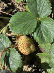 Similar image 21933937