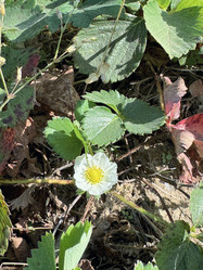 Similar image 21933938