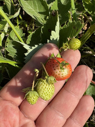 Similar image 21933940