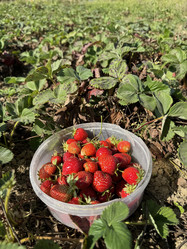 Similar image 21933942