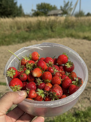 Similar image 21933943