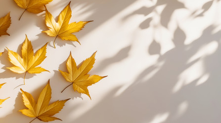 Similar image 21933241