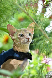 Similar image 21936592