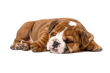 Similar image 21936593