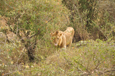 Similar image 21936594