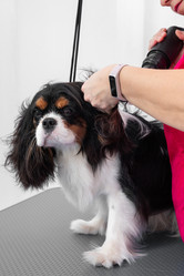 Similar image 21936598