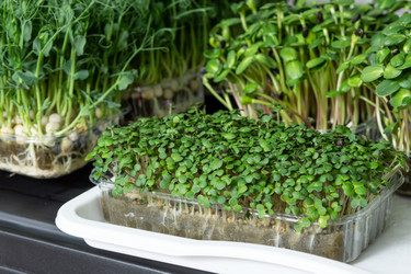 Similar image 21936599