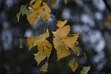 Similar image 21942998