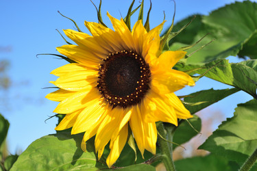 Similar image 21934824