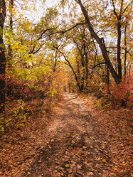 Similar image 21934825